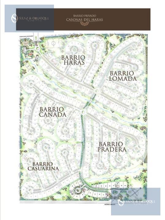 Miniatura 14